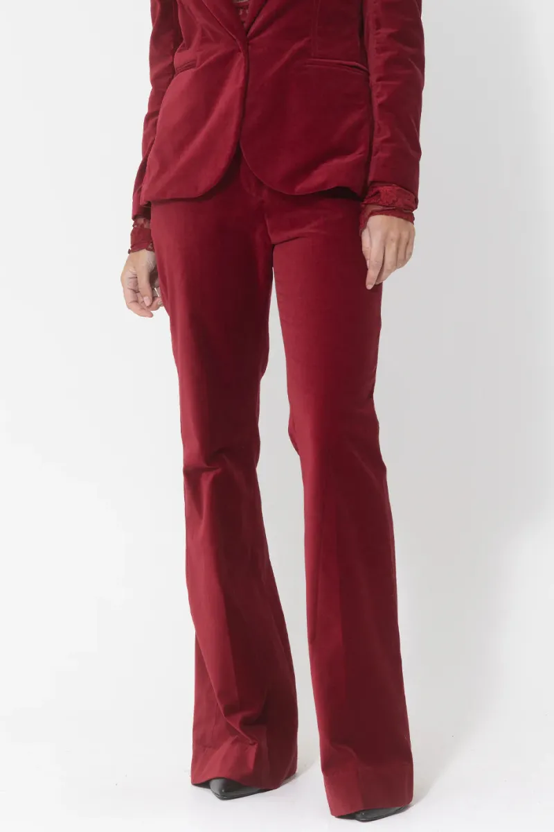 velvet_bootleg_pant_0.webp Joey the Label Velvet Bootleg Pant^ Pant
