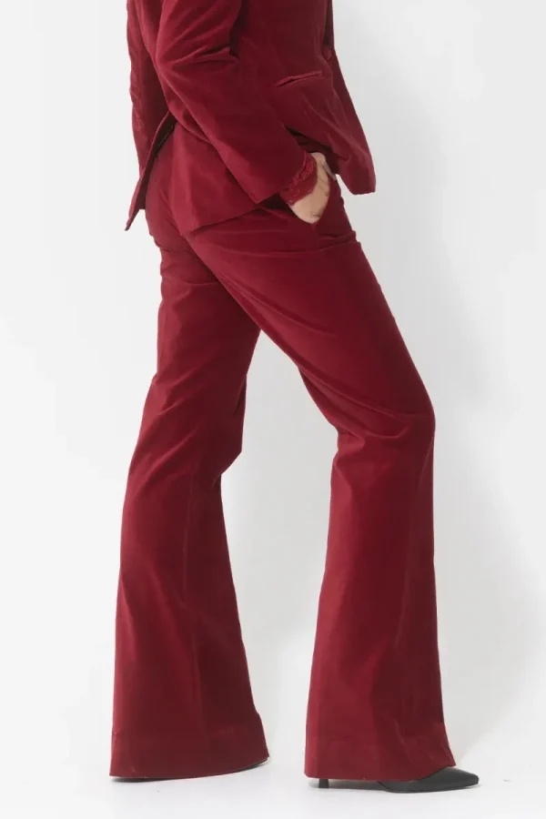 Joey the Label Velvet Bootleg Pant^ Pant